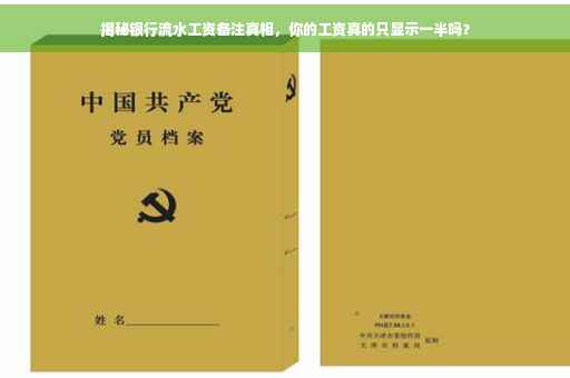 揭秘银行流水工资备注真相，你的工资真的只显示一半吗？