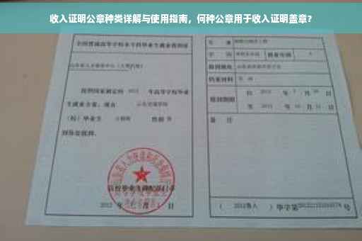 收入证明公章种类详解与使用指南，何种公章用于收入证明盖章？