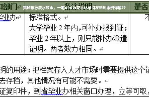揭秘银行流水故事，一笔600万交易记录引发判刑案例详解??