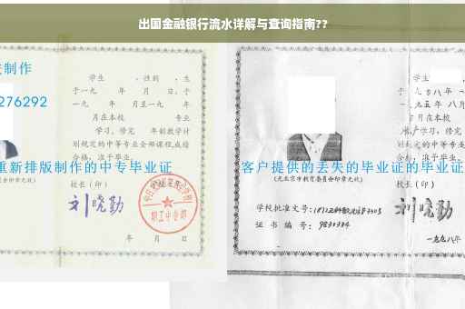 出国金融银行流水详解与查询指南??
