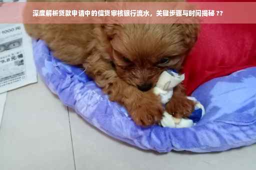 深度解析贷款申请中的信贷审核银行流水，关键步骤与时间揭秘 ??