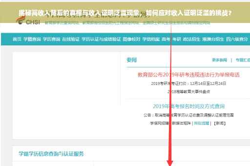 揭秘高收入背后的真相与收入证明泛滥现象，如何应对收入证明泛滥的挑战？