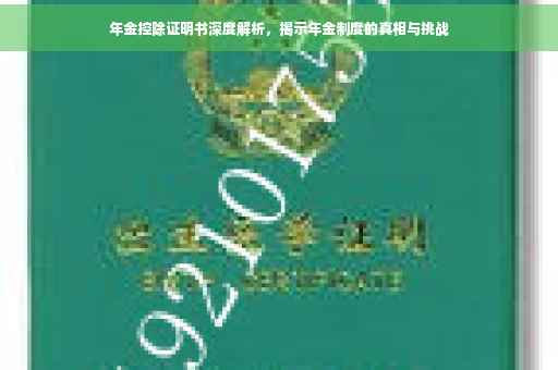 年金控除证明书深度解析，揭示年金制度的真相与挑战