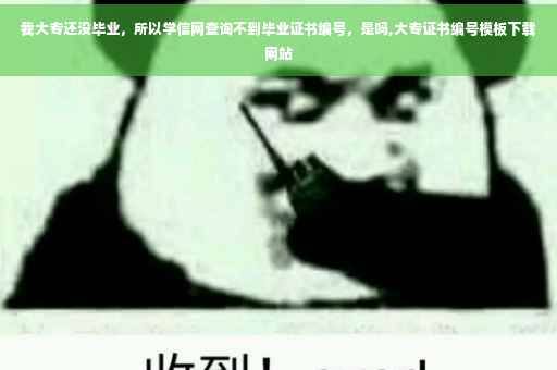 我大专还没毕业，所以学信网查询不到毕业证书编号，是吗,大专证书编号模板下载网站