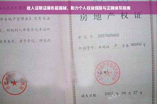 收入证明证据名称揭秘，助力个人权益保障与正确填写指南