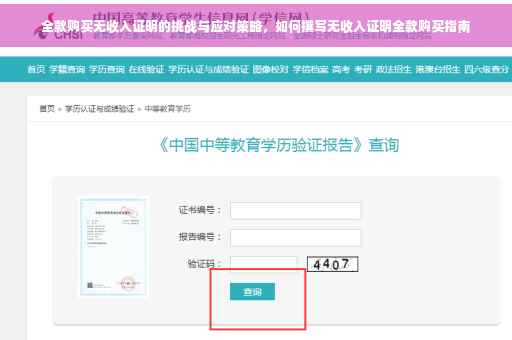 全款购买无收入证明的挑战与应对策略，如何撰写无收入证明全款购买指南