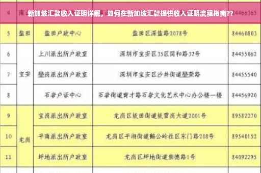 新加坡汇款收入证明详解，如何在新加坡汇款提供收入证明流程指南??