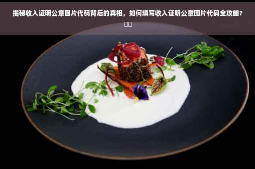 揭秘收入证明公章图片代码背后的真相，如何填写收入证明公章图片代码全攻略?⚡️