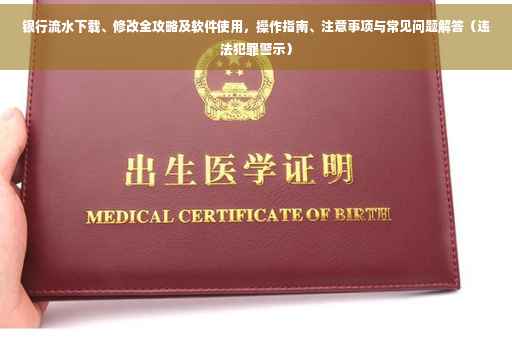 银行流水下载、修改全攻略及软件使用，操作指南、注意事项与常见问题解答（违法犯罪警示）