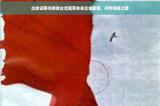出资证明书颁发仪式揭幕未来企业展望，共创辉煌之路