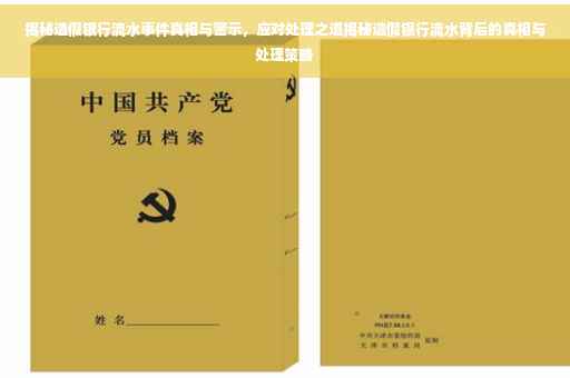 揭秘造假银行流水事件真相与警示，应对处理之道揭秘造假银行流水背后的真相与处理策略
