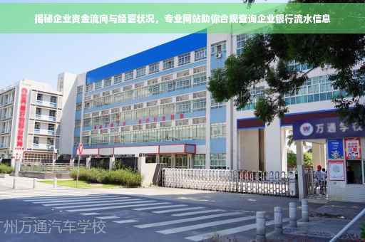 揭秘企业资金流向与经营状况，专业网站助你合规查询企业银行流水信息