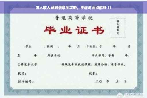 法人收入证明调取全攻略，步骤与要点解析 ??