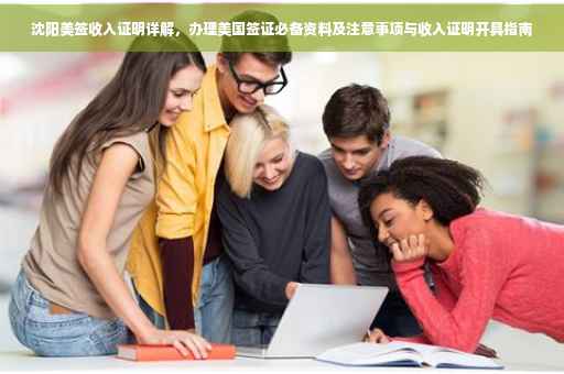 沈阳美签收入证明详解，办理美国签证必备资料及注意事项与收入证明开具指南