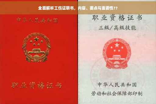 全面解析工伤证明书，内容、要点与重要性??