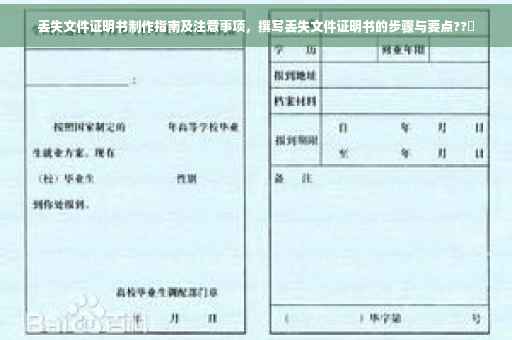 丢失文件证明书制作指南及注意事项，撰写丢失文件证明书的步骤与要点??️