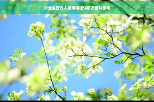 兴业自营收入证明模板详解及图片参考