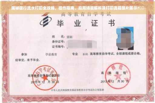 揭秘银行流水打印全攻略，操作指南、应用场景解析及打印流程图片展示?⚡️
