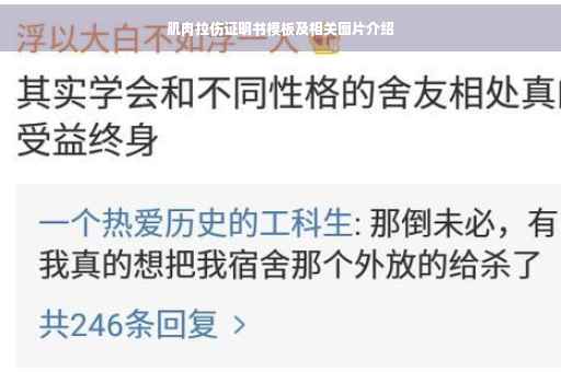 肌肉拉伤证明书模板及相关图片介绍