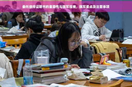 委托律师证明书的重要性与撰写指南，撰写要点及注意事项
