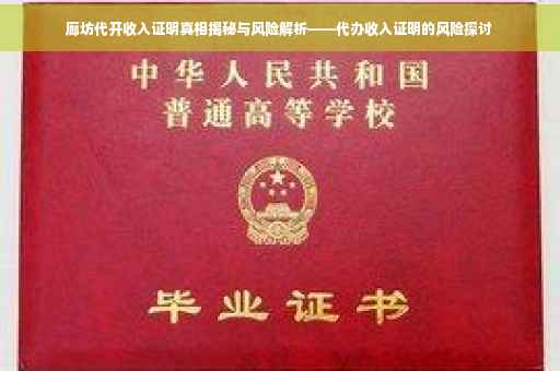 廊坊代开收入证明真相揭秘与风险解析——代办收入证明的风险探讨