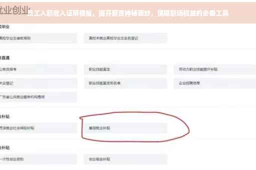 员工入职收入证明模板，揭开薪资神秘面纱，保障职场权益的必备工具
