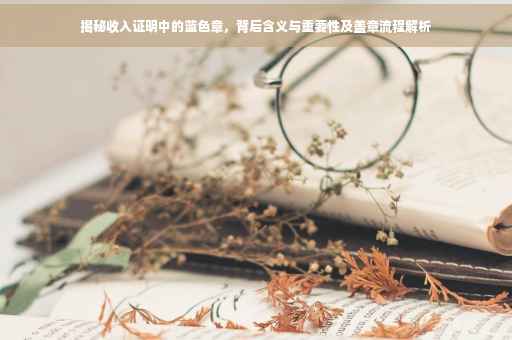 揭秘收入证明中的蓝色章，背后含义与重要性及盖章流程解析