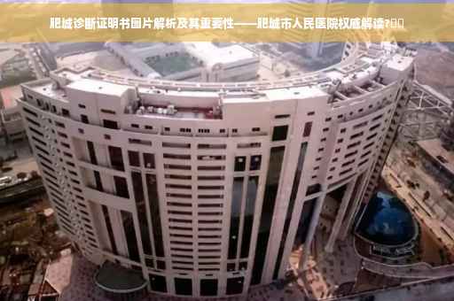 肥城诊断证明书图片解析及其重要性——肥城市人民医院权威解读?⚡️