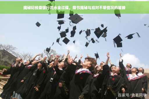 揭秘纪检查银行流水全过程，细节揭秘与应对不明情况的策略