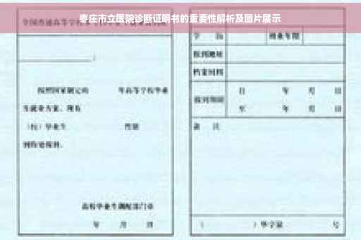 枣庄市立医院诊断证明书的重要性解析及图片展示