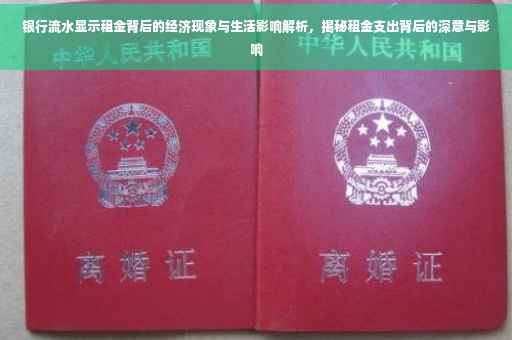银行流水显示租金背后的经济现象与生活影响解析，揭秘租金支出背后的深意与影响