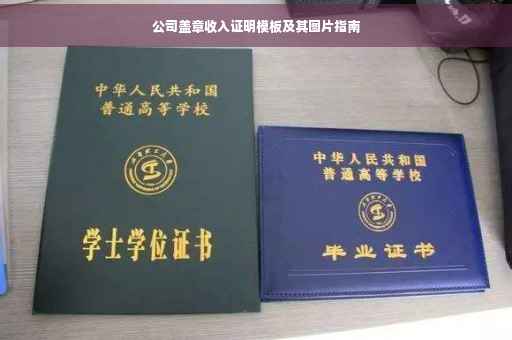 公司盖章收入证明模板及其图片指南