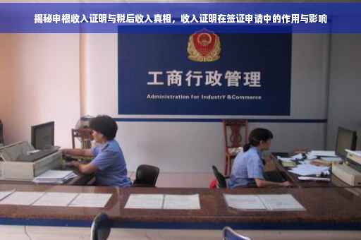 揭秘申根收入证明与税后收入真相，收入证明在签证申请中的作用与影响