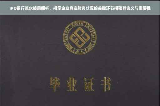 IPO银行流水披露解析，揭示企业真实财务状况的关键环节揭秘其含义与重要性