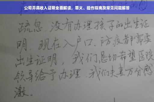 公司开具收入证明全面解读，意义、操作指南及常见问题解答