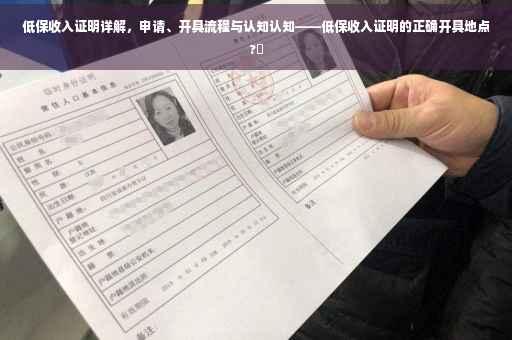 低保收入证明详解，申请、开具流程与认知认知——低保收入证明的正确开具地点?✨