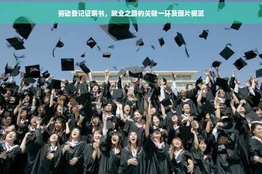 劳动登记证明书，就业之路的关键一环及图片概览