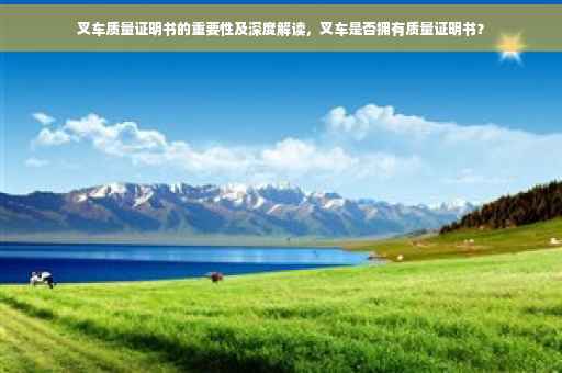 叉车质量证明书的重要性及深度解读，叉车是否拥有质量证明书？