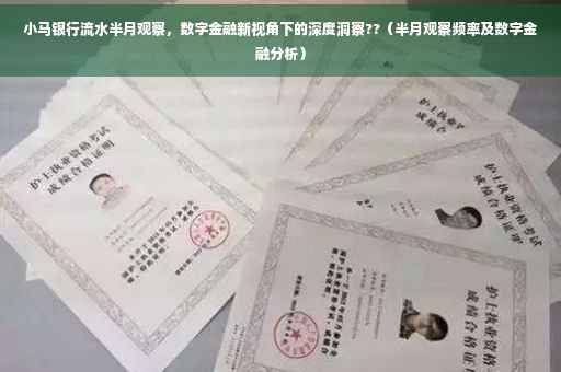 小马银行流水半月观察，数字金融新视角下的深度洞察??（半月观察频率及数字金融分析）