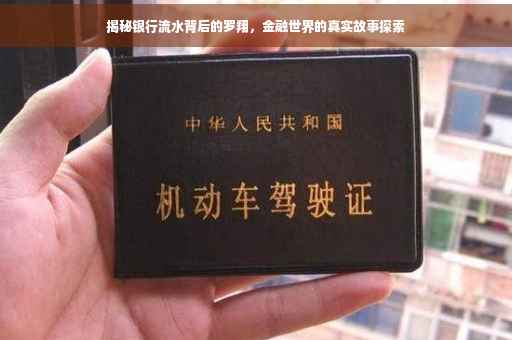 揭秘银行流水背后的罗翔，金融世界的真实故事探索