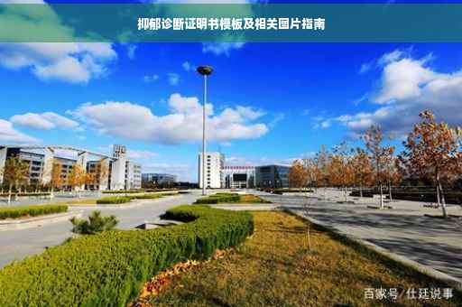 抑郁诊断证明书模板及相关图片指南