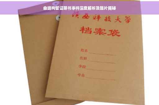 曲靖拘留证明书事件深度解析及图片揭秘