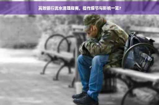 高效银行流水清理指南，操作细节与影响一览?