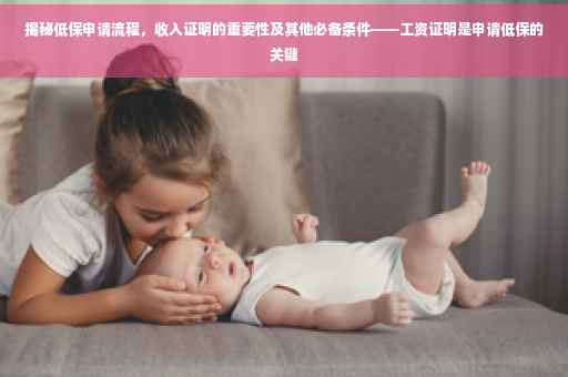 揭秘低保申请流程，收入证明的重要性及其他必备条件——工资证明是申请低保的关键