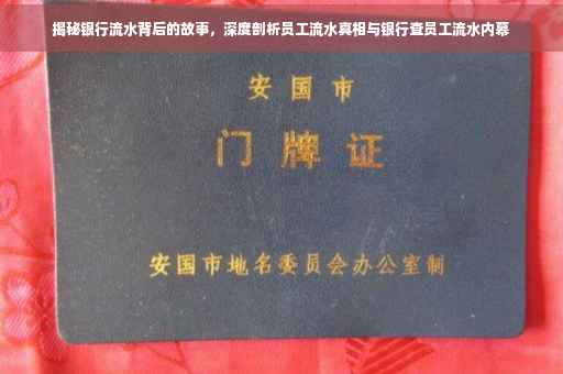 揭秘银行流水背后的故事，深度剖析员工流水真相与银行查员工流水内幕