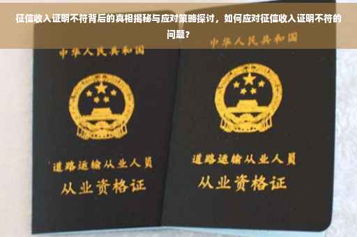 征信收入证明不符背后的真相揭秘与应对策略探讨，如何应对征信收入证明不符的问题？