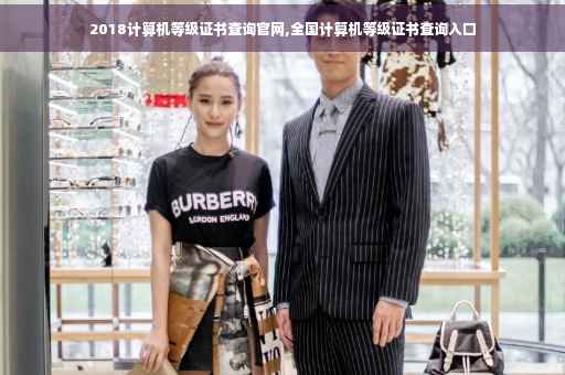 2018计算机等级证书查询官网,全国计算机等级证书查询入口