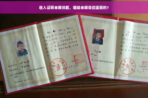 收入证明单据详解，哪些单据是你需要的？