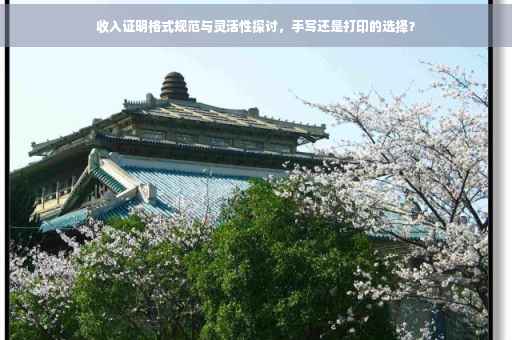 收入证明格式规范与灵活性探讨，手写还是打印的选择？