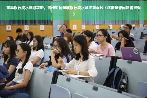 东莞银行流水获取攻略，揭秘如何获取银行流水及注意事项（违法犯罪问题需警惕）